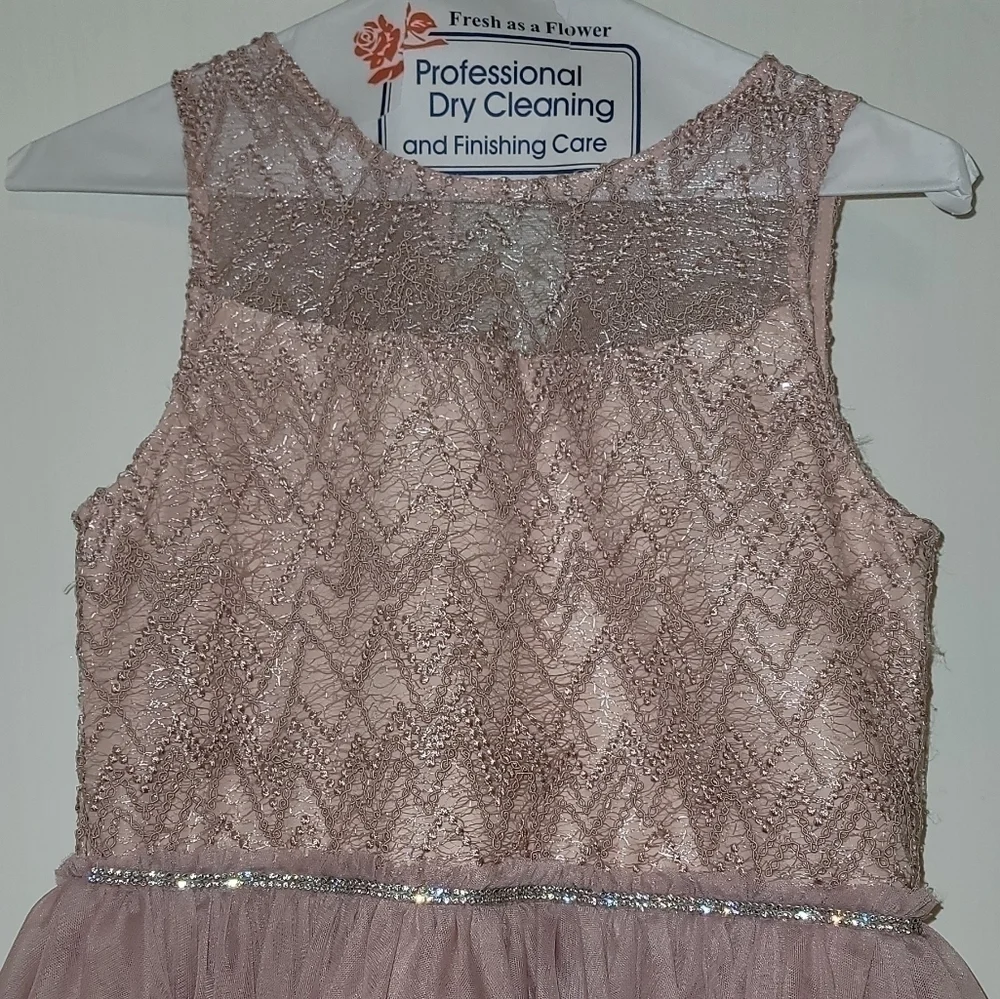 **NWT* Badgley Mischka Big Girl's Maxi Fit-&-Flare Dress - Blush - Size 16 - Picture 3 of 12